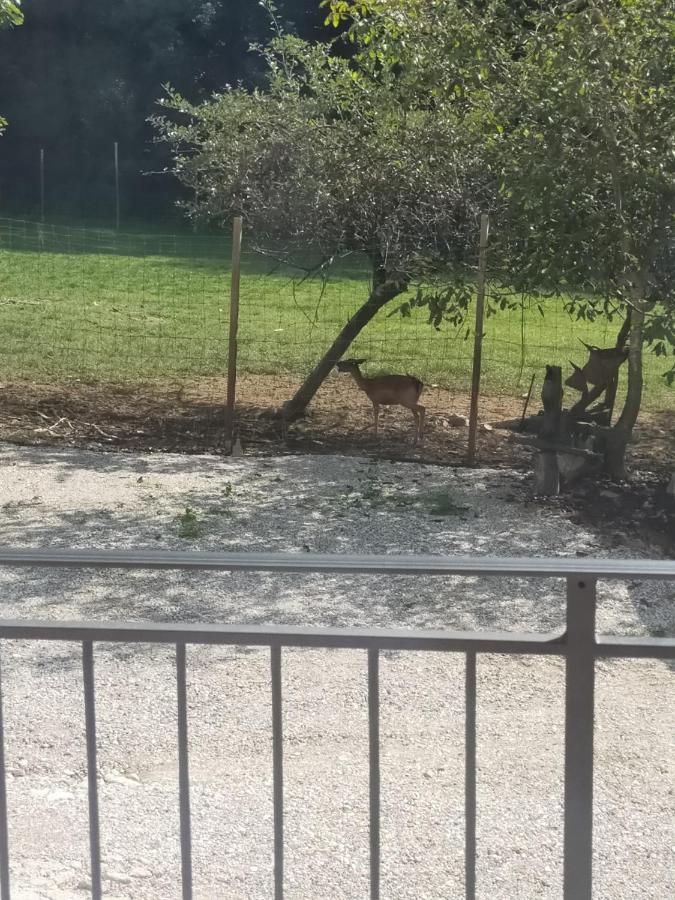 Alloggio E Agriturismo De Poanute Faedis Eksteriør bilde